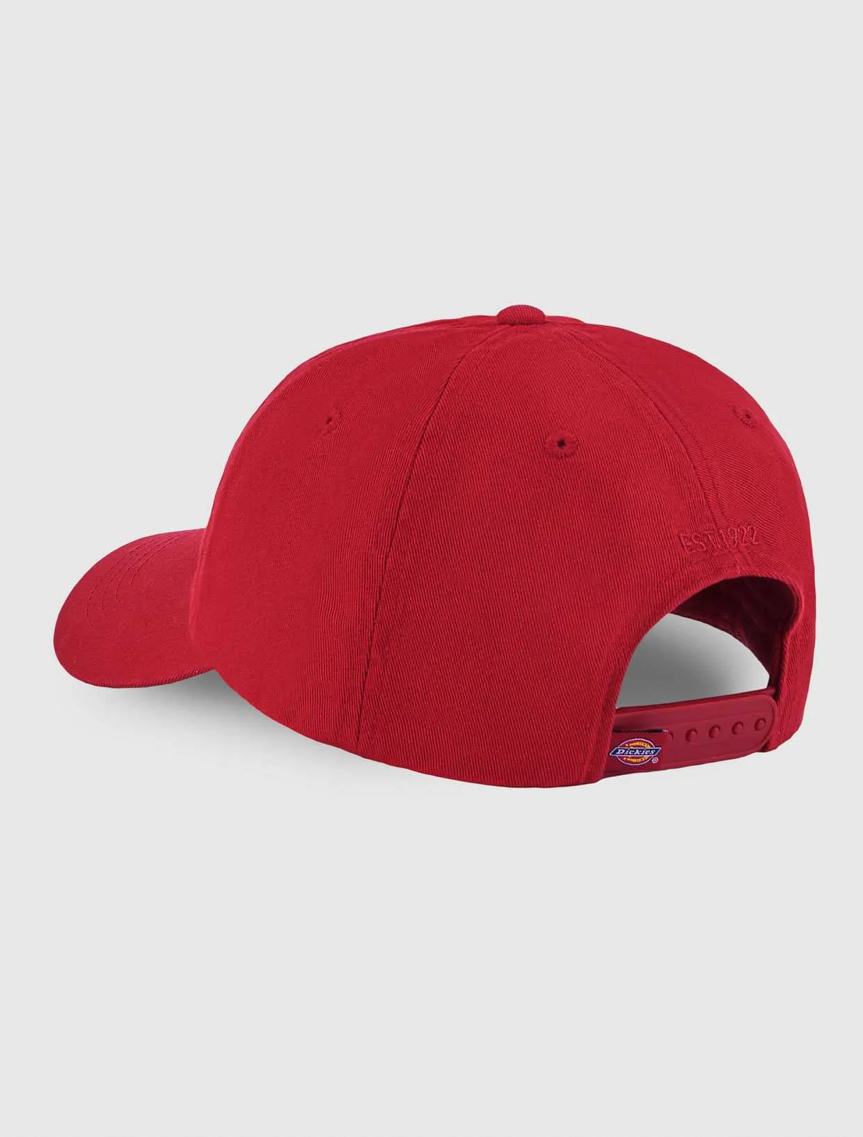 Dickies - HARDWICK Dickies - HARDWICK