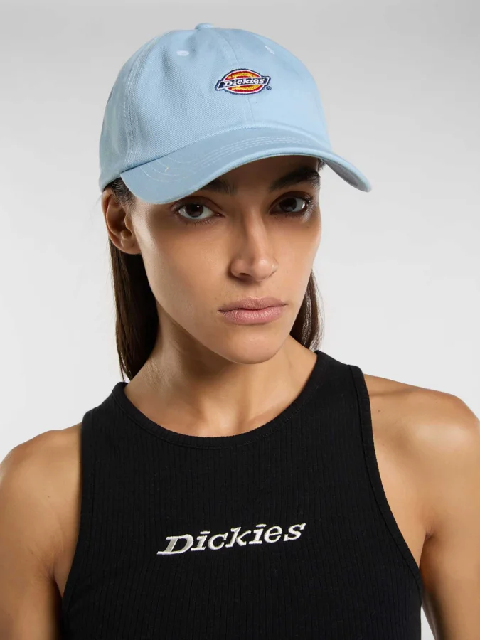 Dickies - HARDWICK 2