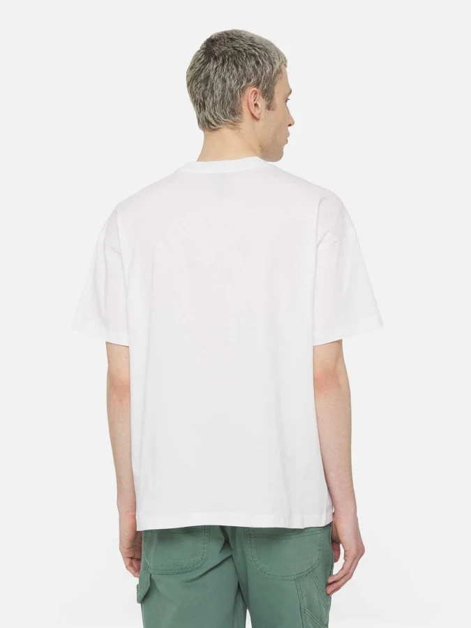 Dickies - ENTERPRISE TEE SS 2