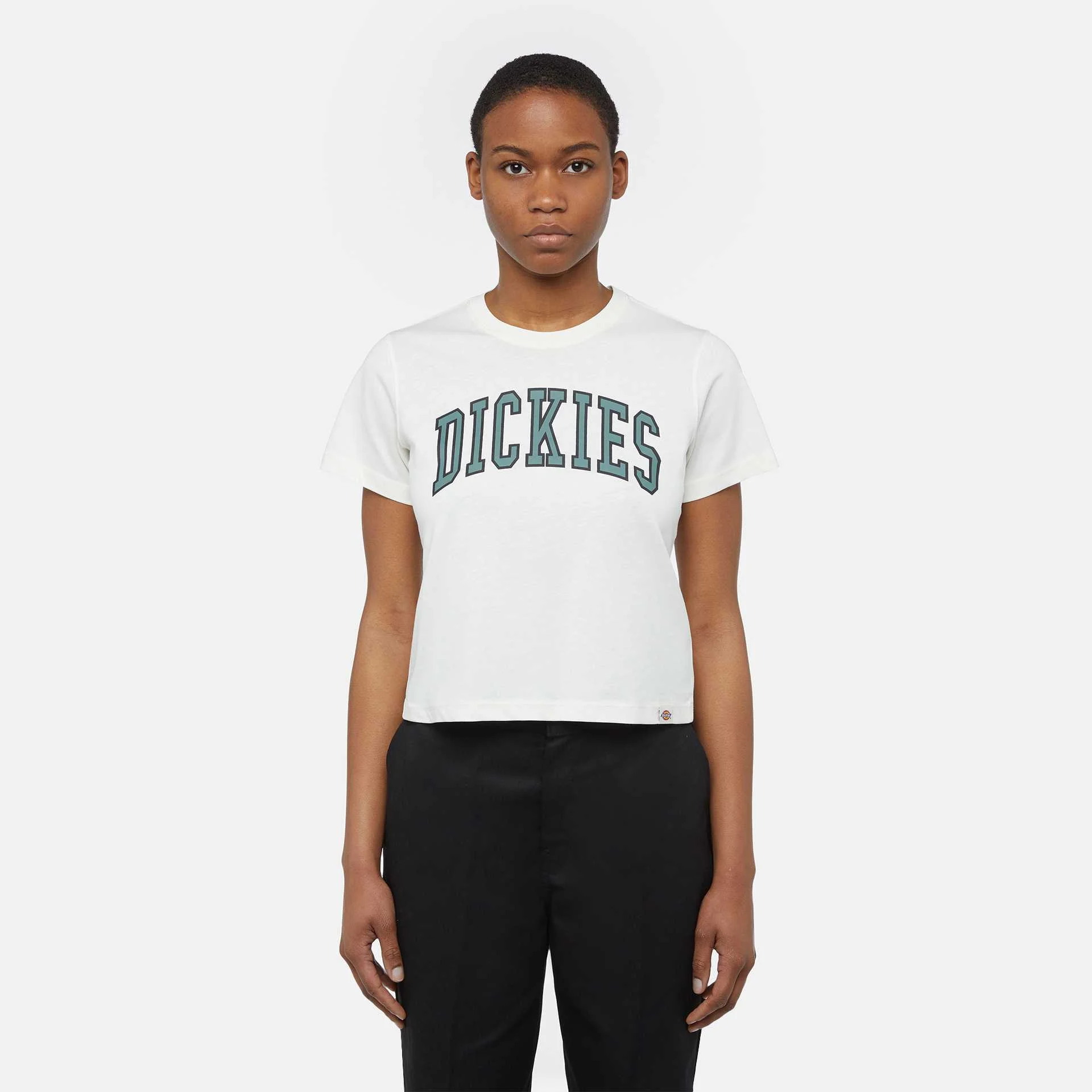 Dickies - AITKIN TEE Dickies - AITKIN TEE