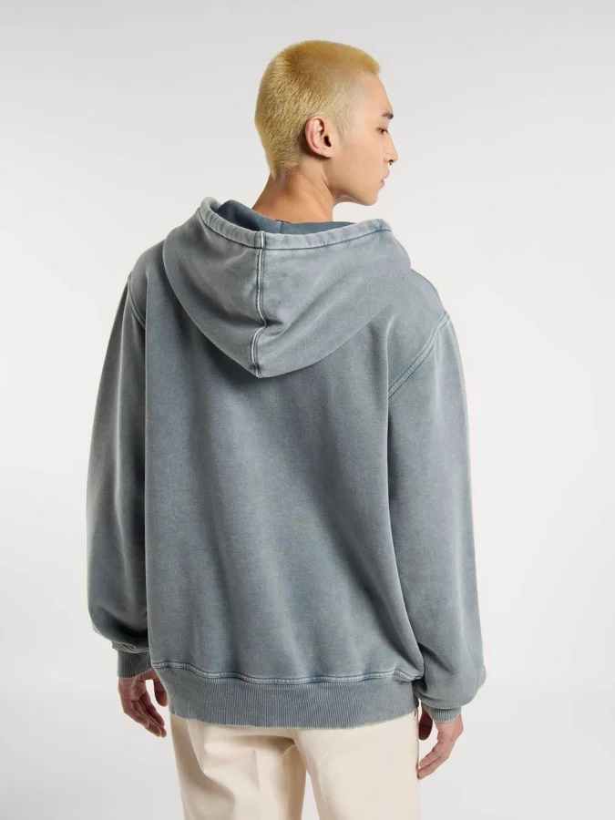 Dickies - PLENTYWOOD HOODIE 2