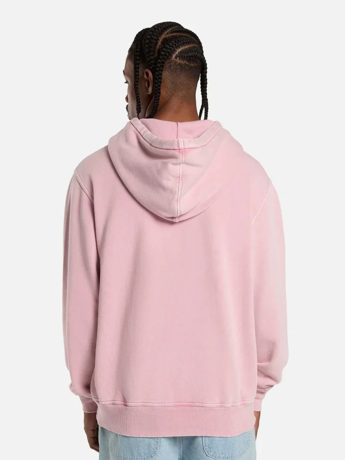 Dickies - PLENTYWOOD HOODIE 2