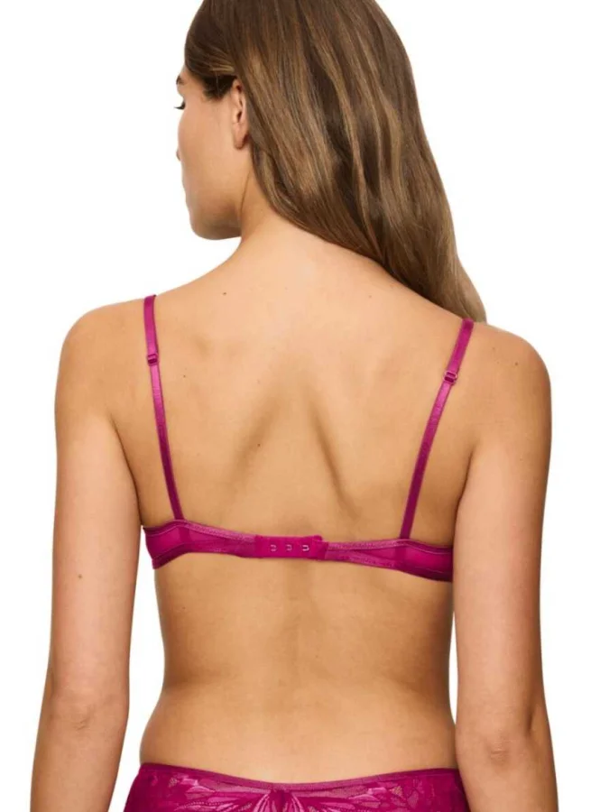 Triumph - Crazy Stupid Love... 2