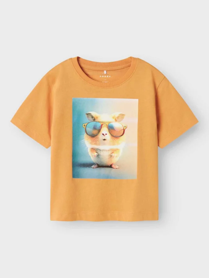 NAME IT - NMMVOTO SS NREG TOP