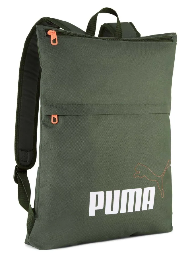 Puma - PUMA Phase Elemental...