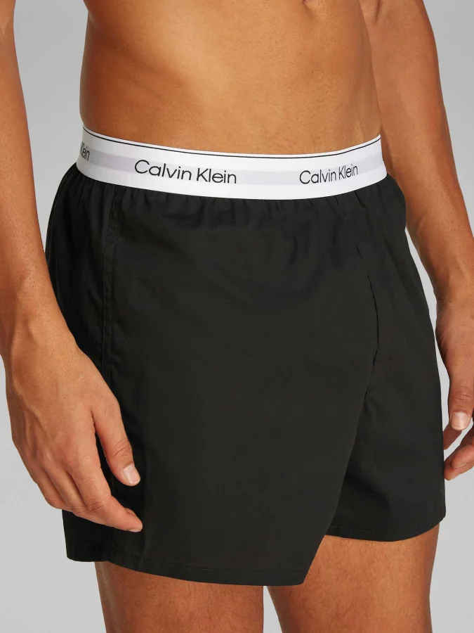 CALVIN KLEIN UNDERWEAR -... 2