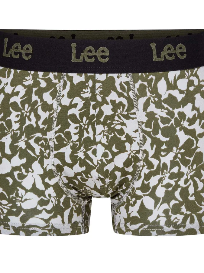 LEE - Trunks REO 2