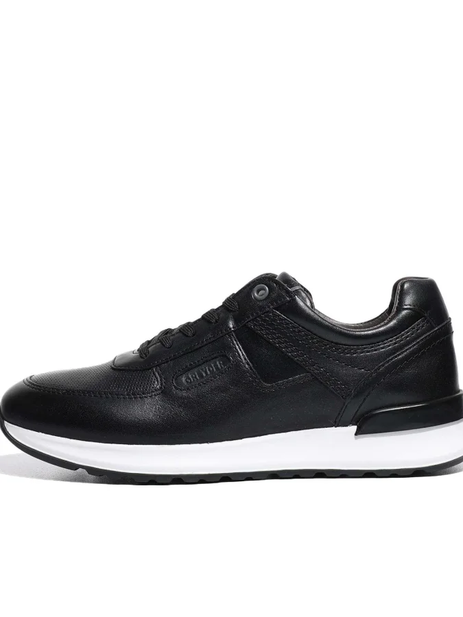 GREYDER 2
