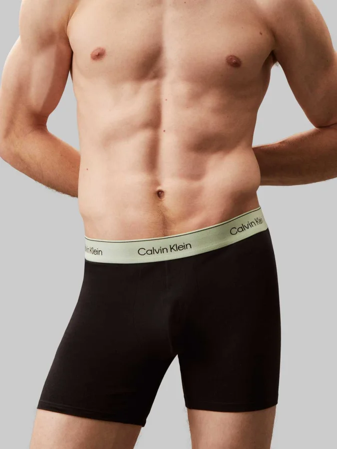 CALVIN KLEIN UNDERWEAR -... 2