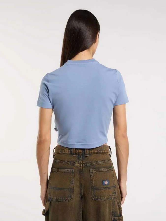 Dickies - MAPLE VALLEY TEE 2