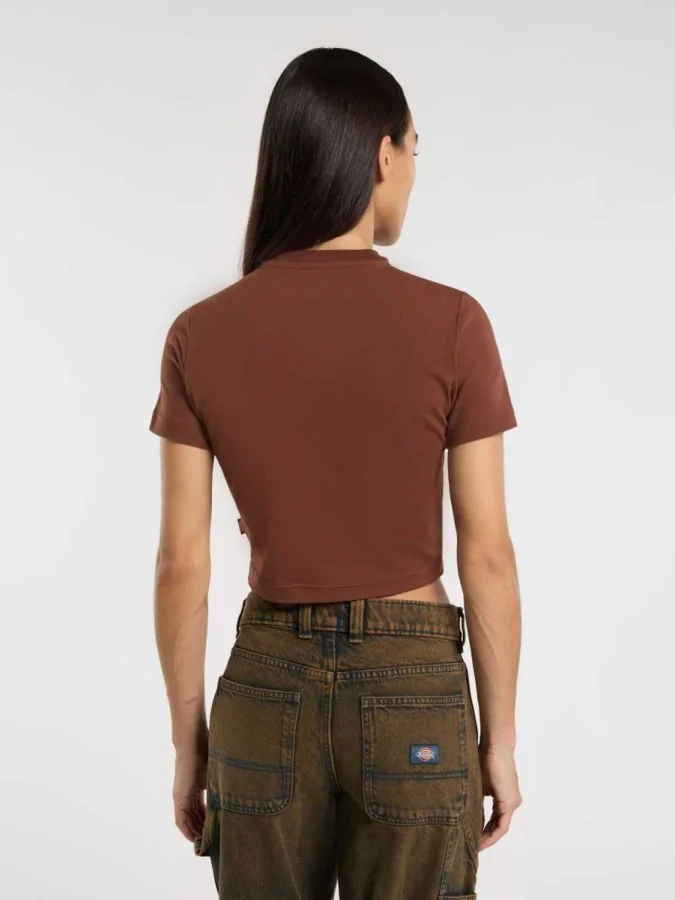 Dickies - MAPLE VALLEY TEE 2