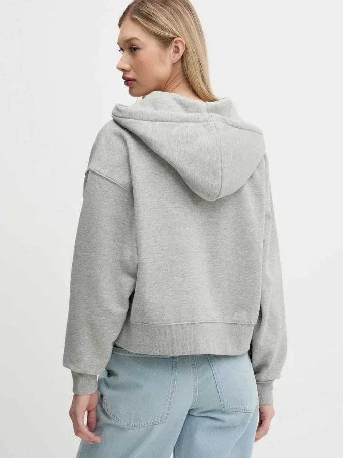Dickies - ZIP-UP HOODIE 2