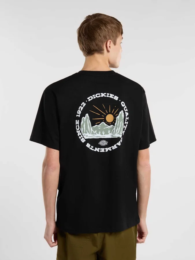DICKIES OUTDOOR SS TEE 2