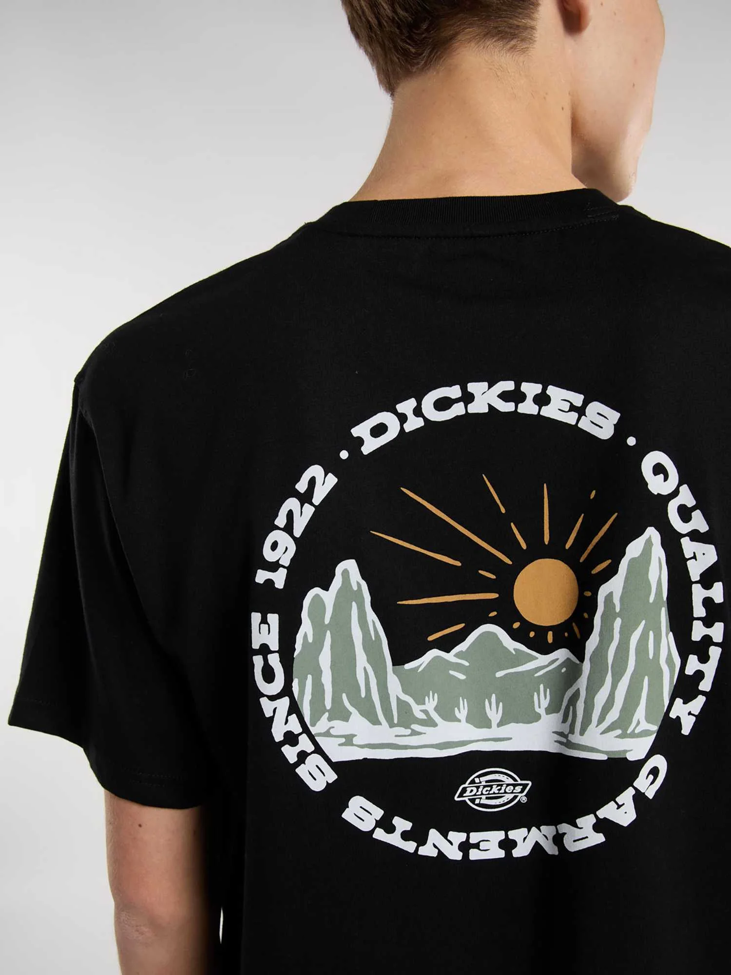 DICKIES OUTDOOR SS TEE DICKIES OUTDOOR SS TEE