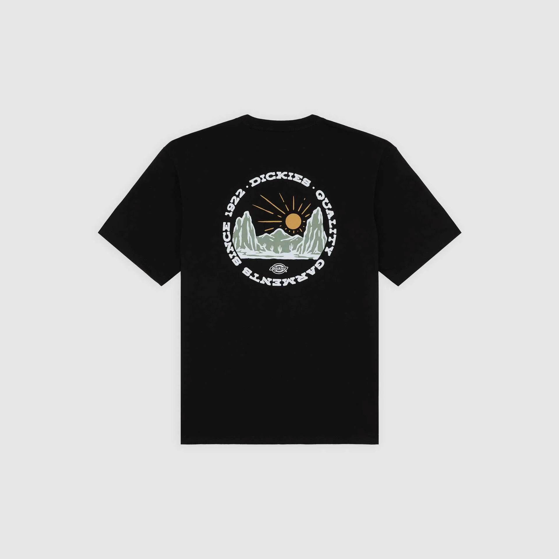 DICKIES OUTDOOR SS TEE DICKIES OUTDOOR SS TEE