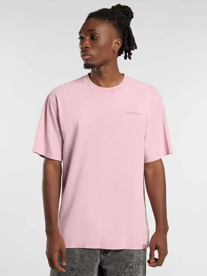 Dickies - PLENTYWOOD TEE SS