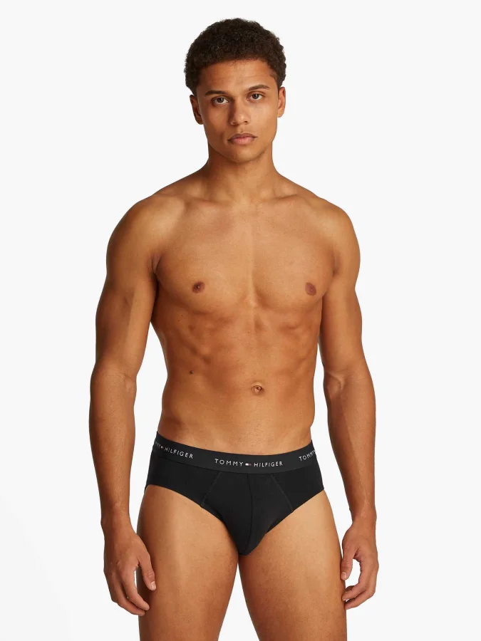 Tommy Hilfiger - 3P BRIEF DTM 2