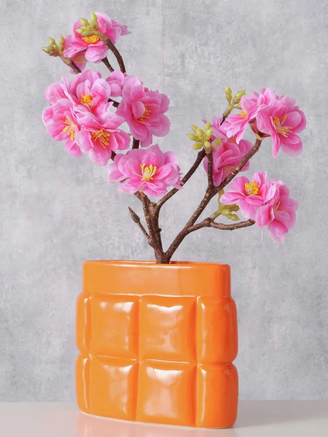 Boltze - ნარინჯისფერი... 2