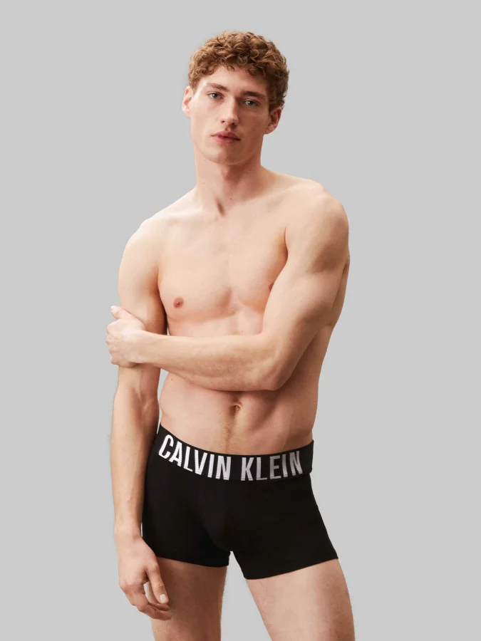 CALVIN KLEIN UNDERWEAR -... 2