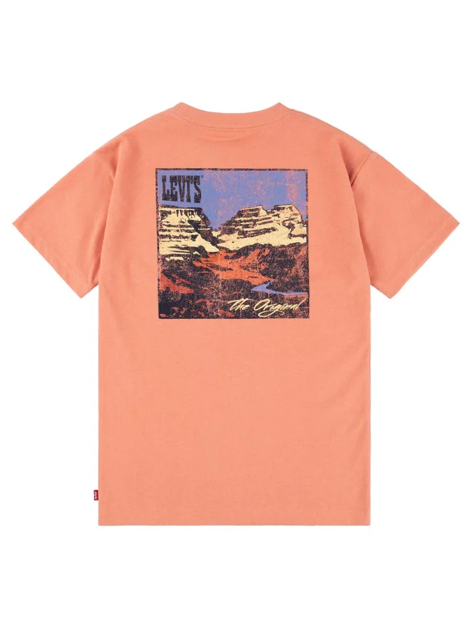 Levis® - CANYON LANDSCAPE TEE 2