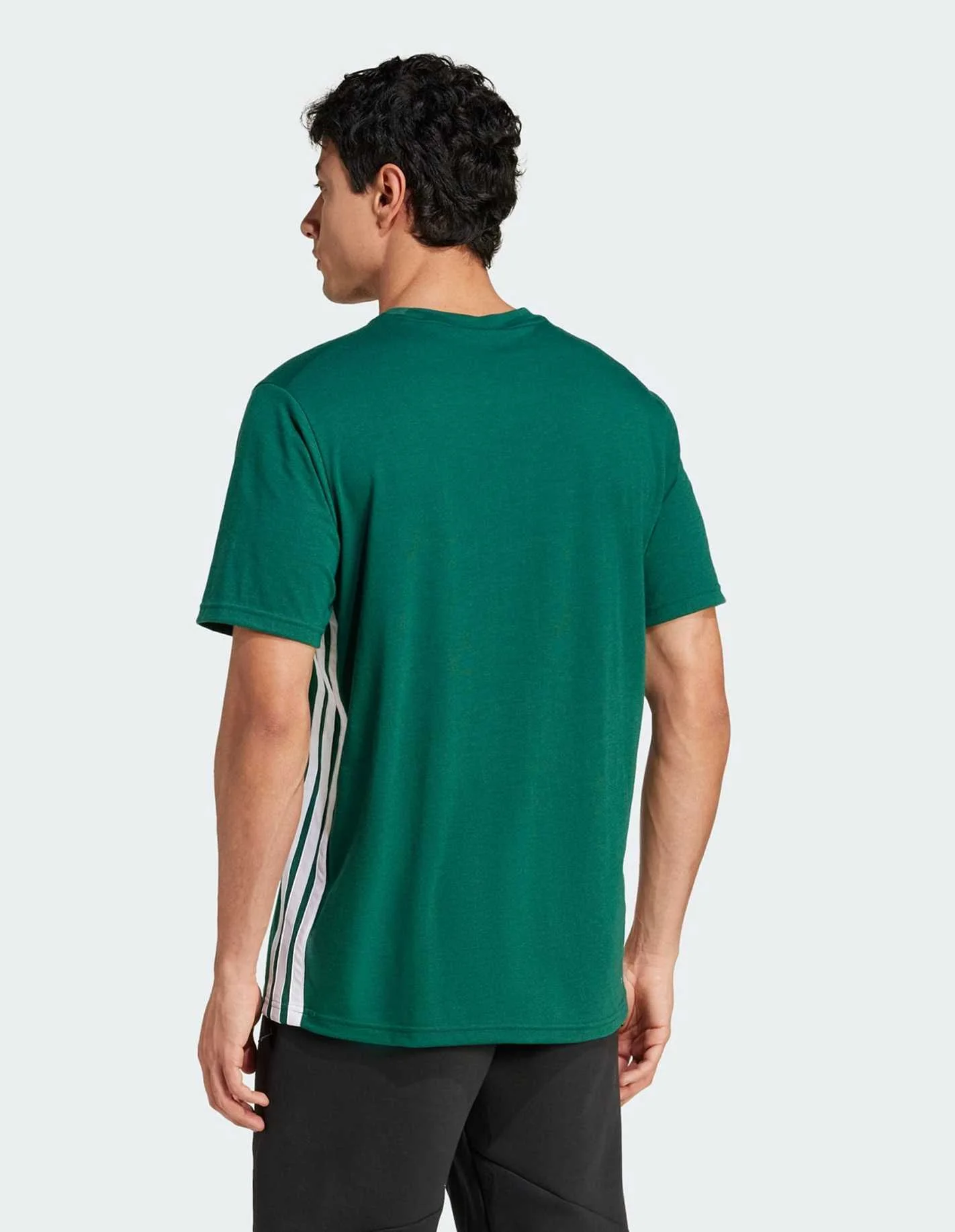 Adidas - TR-ES FR 3S T Adidas - TR-ES FR 3S T