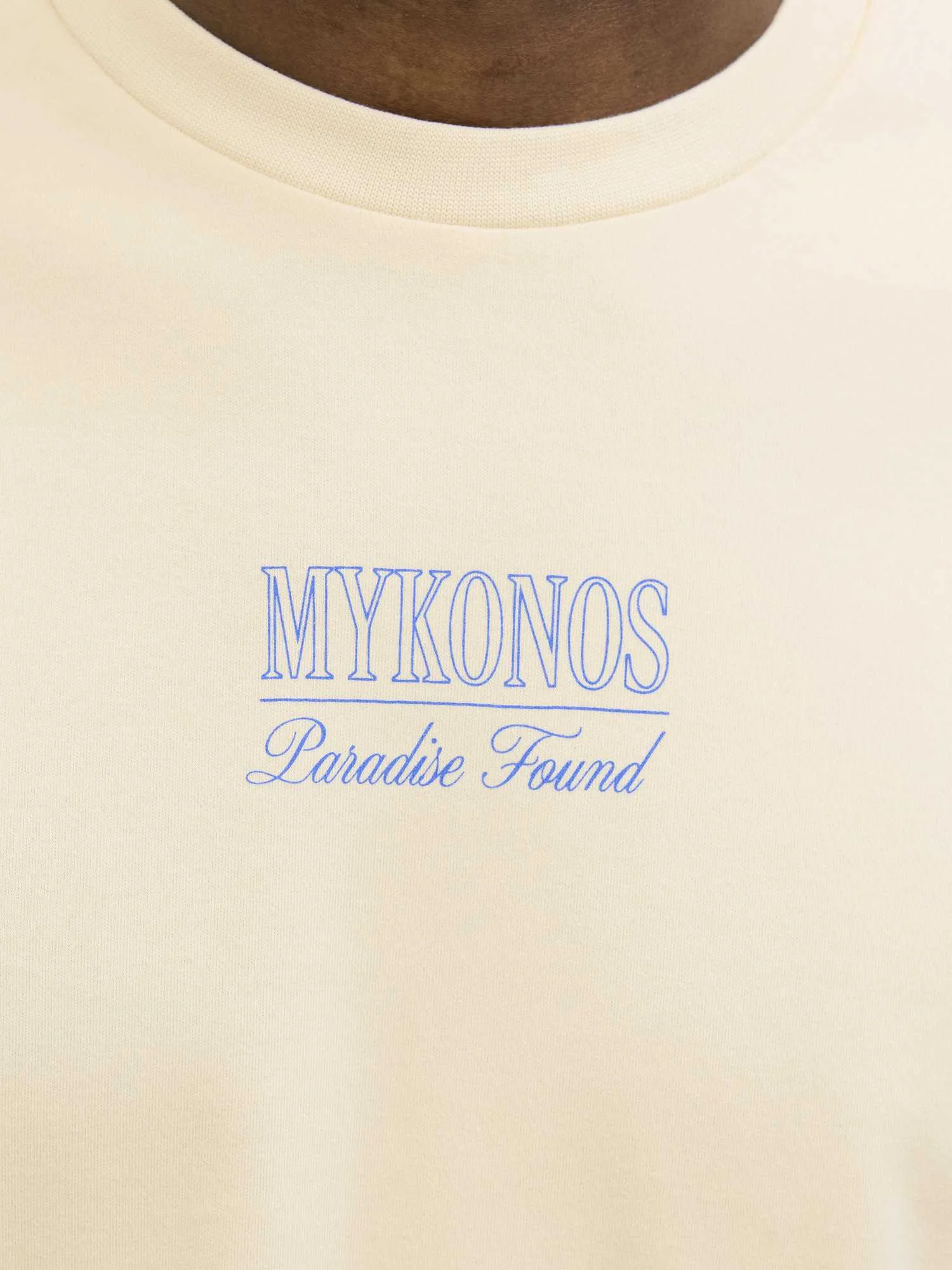 Jack&Jones - JPRBLADESTINATION SS TEE Jack&Jones - JPRBLADESTINATION SS TEE