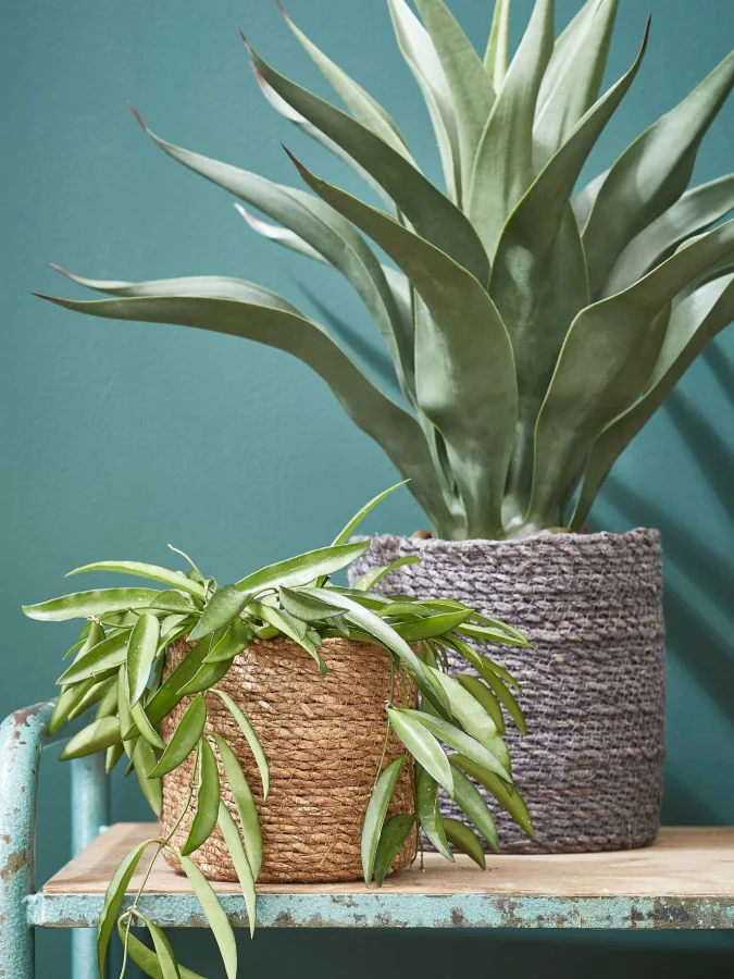 Mica Decorations - Brown... 2