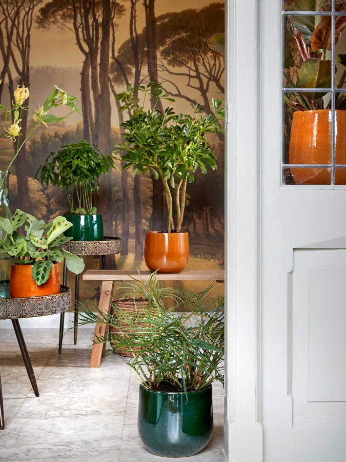 Mica Decorations - Green... 2