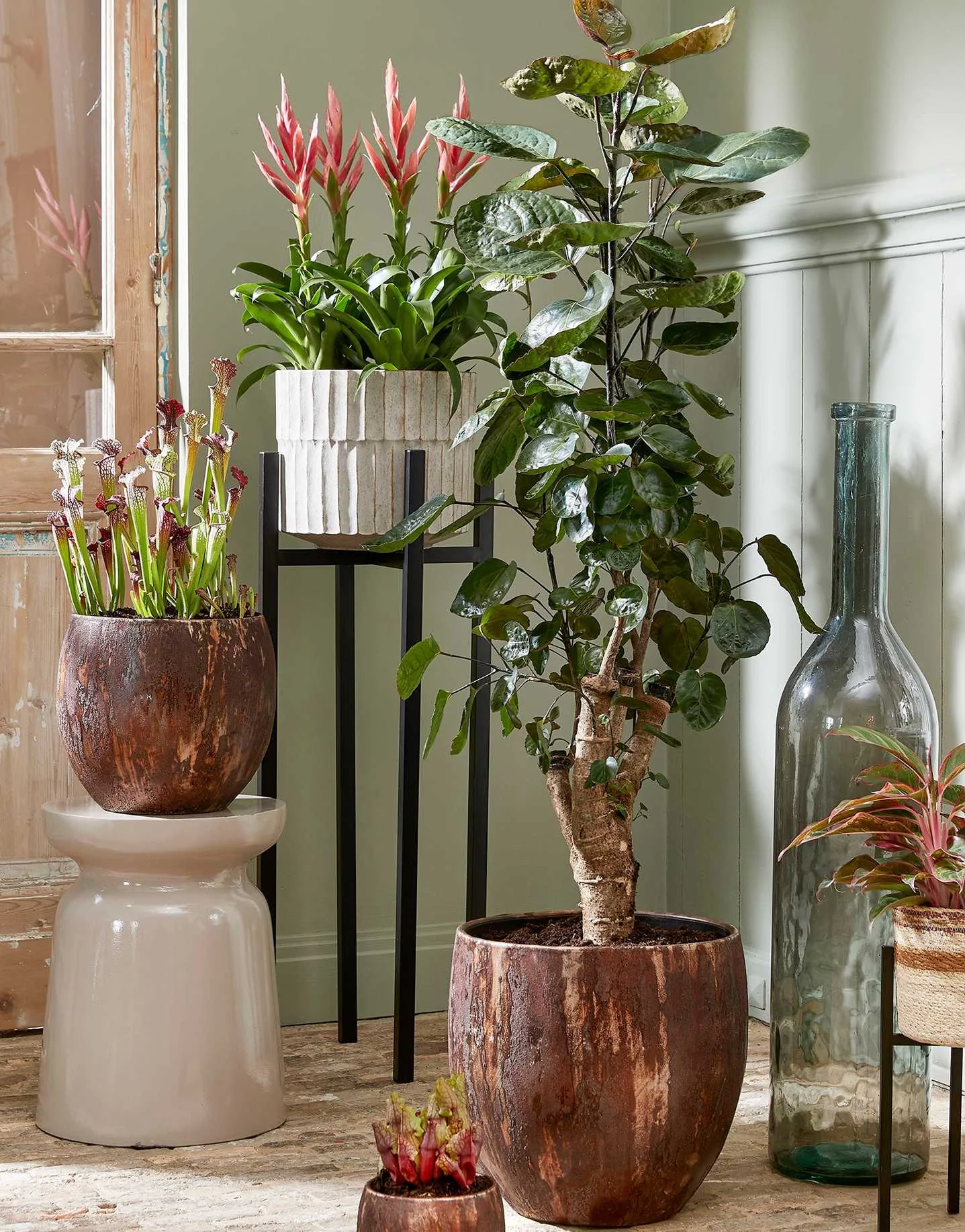 Mica Decorations - Orange... 2