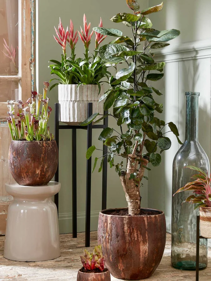 Mica Decorations - Yellow... 2