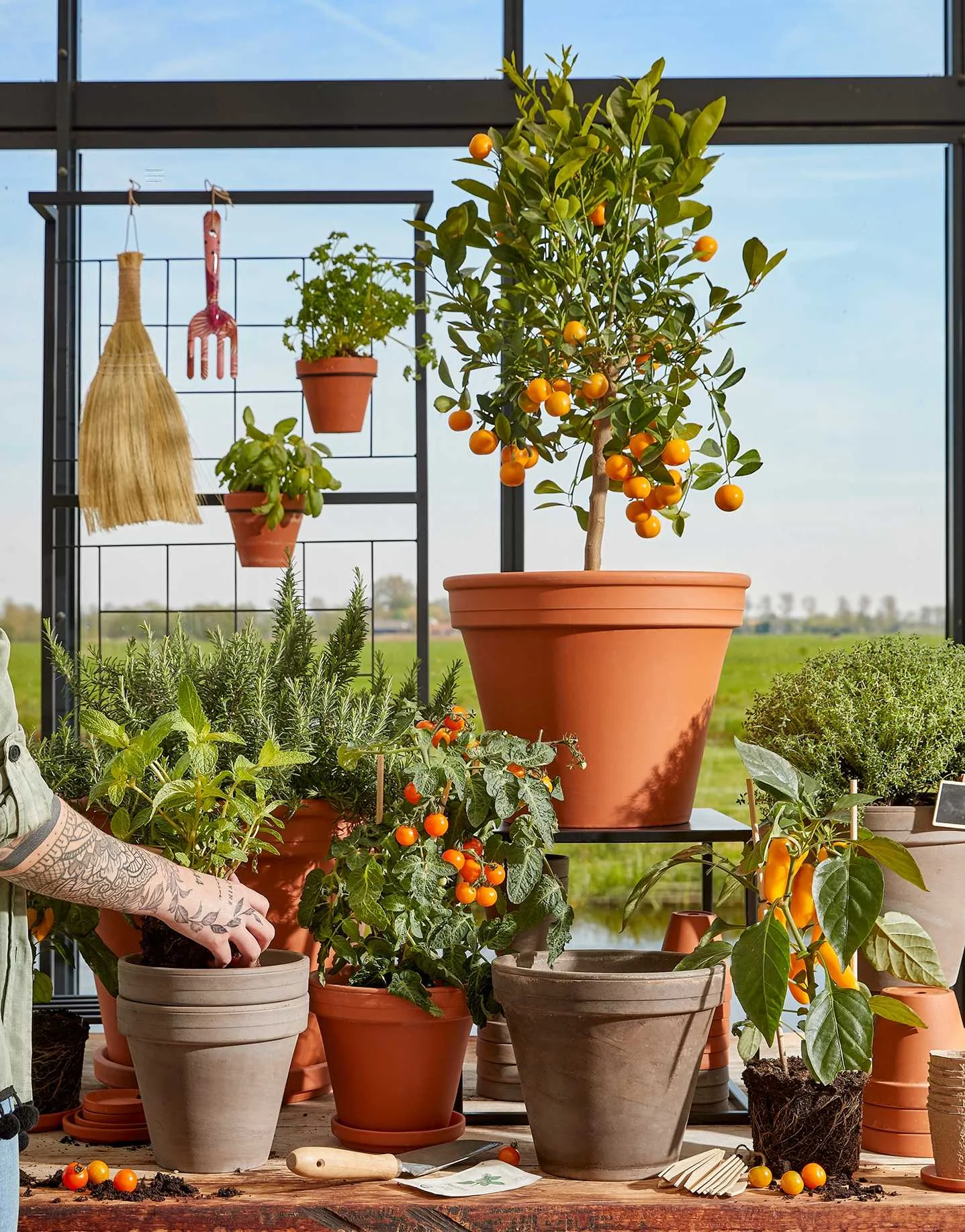 Mica Decorations - Gray... 2