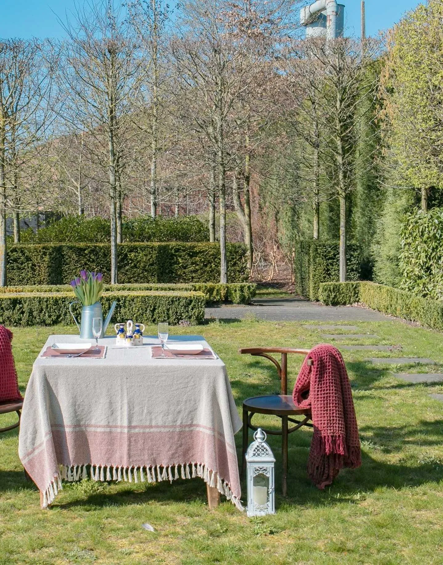 Tiseco - იასამნისფერი პლედი, Waffle,... Tiseco - იასამნისფერი პლედი, Waffle,...