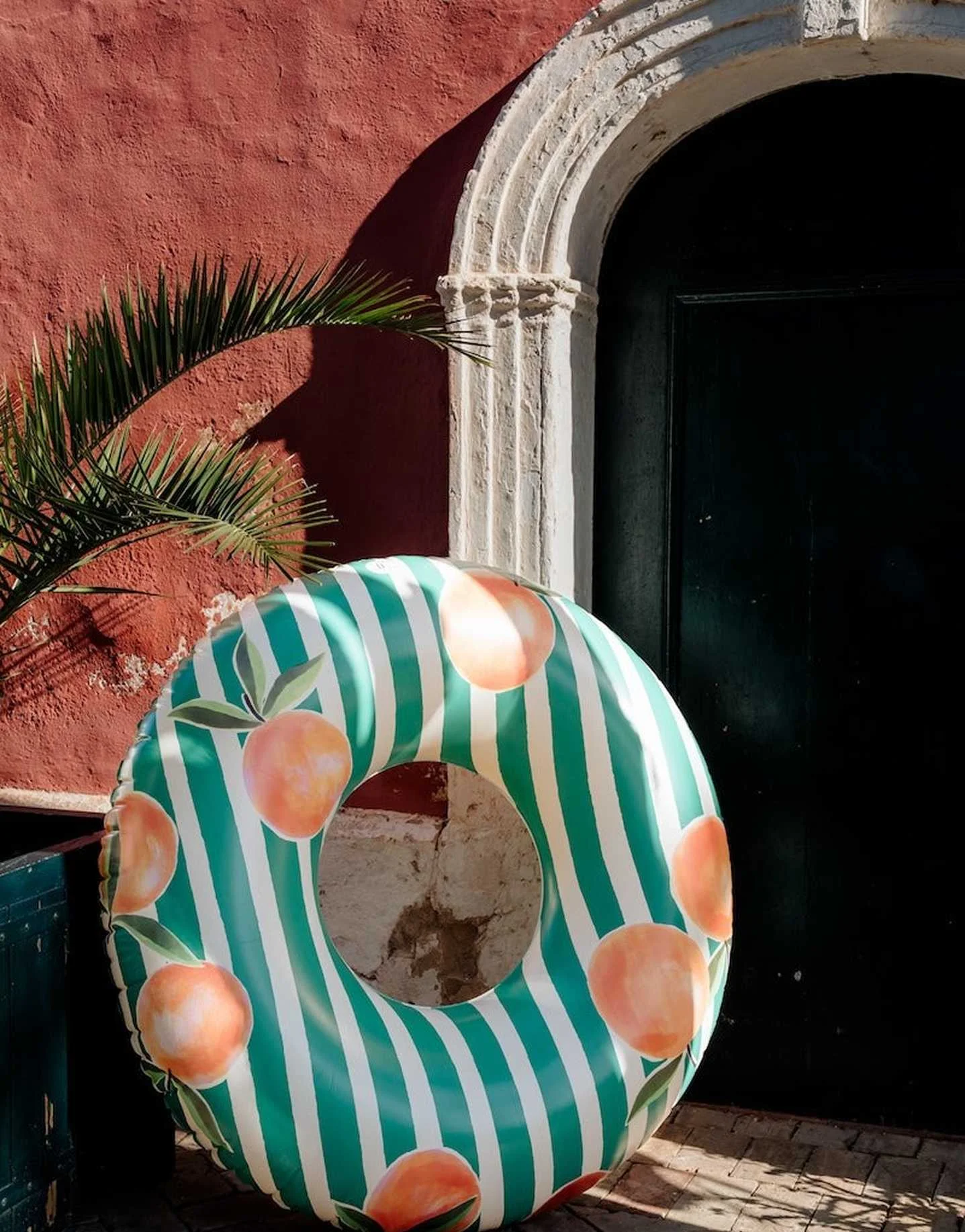 The Nice Fleet - Swimming Ring, Cala... The Nice Fleet - Swimming Ring, Cala...