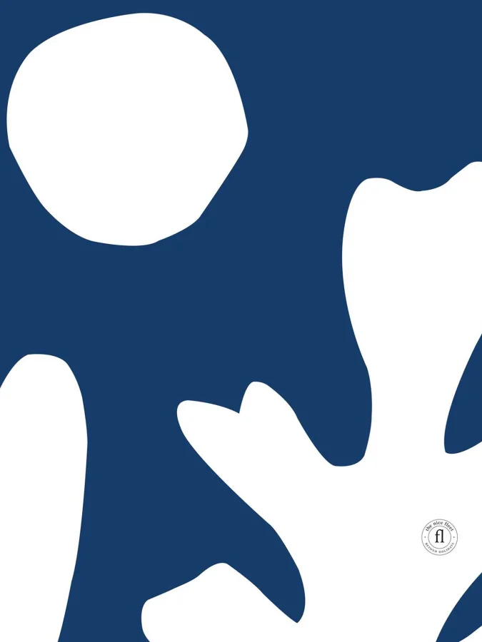 The Nice Fleet - საცურაო... 2