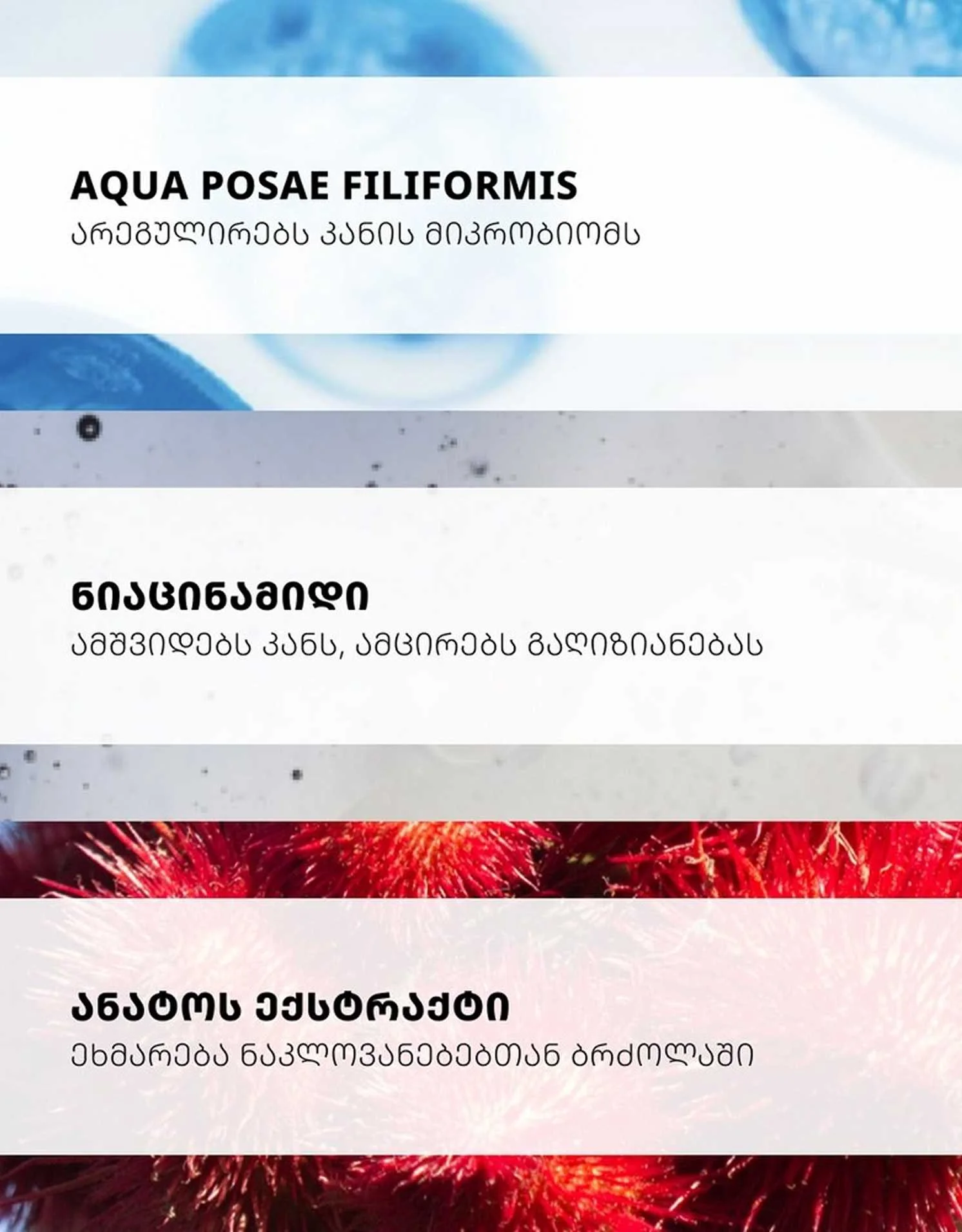 ეფაკლარი H ISO-BIOME სახე/ტანის კრემი... ეფაკლარი H ISO-BIOME სახე/ტანის კრემი...