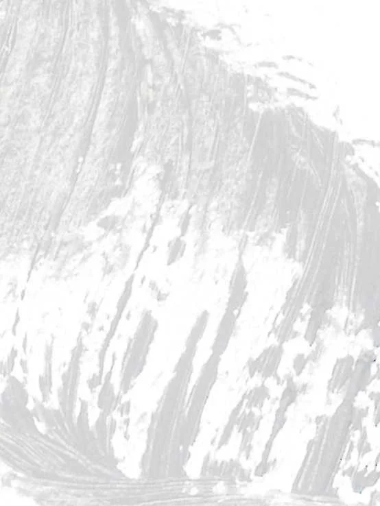 ნაკრები წარბის და წამწამის შრატი + ტუში ნაკრები წარბის და წამწამის შრატი + ტუში