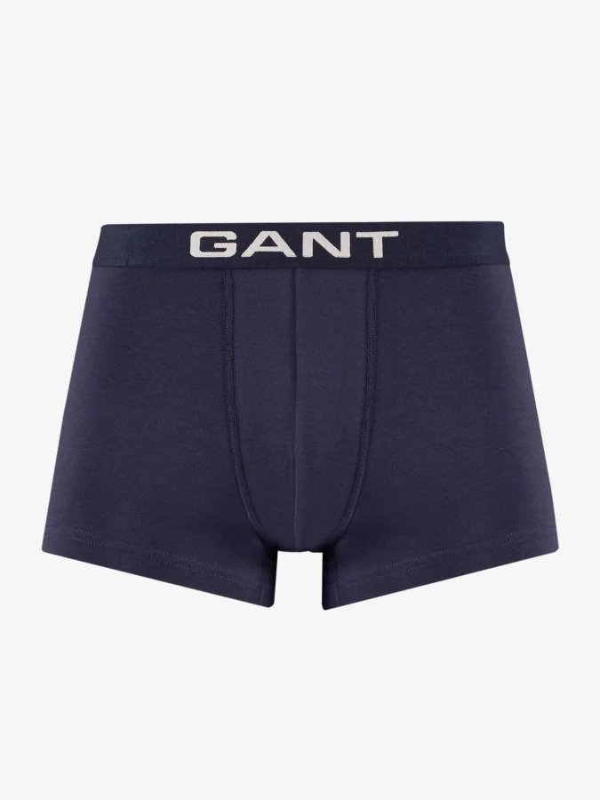 GANT 2