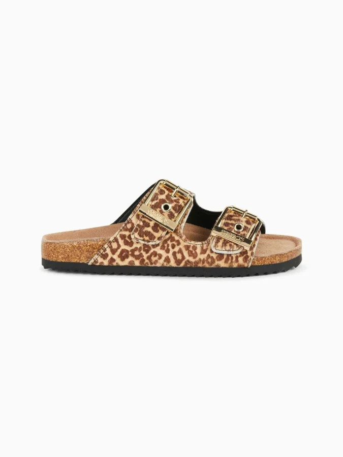 Colors of California - Pony...