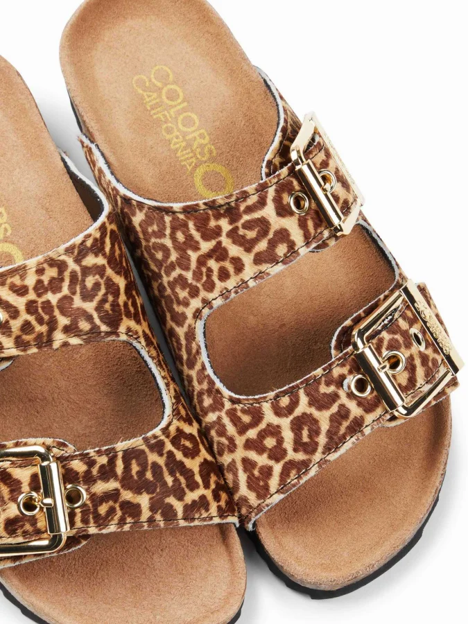 Colors of California - Pony... 2