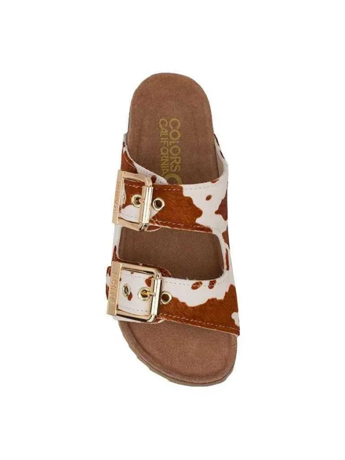 Colors of California - Pony... 2