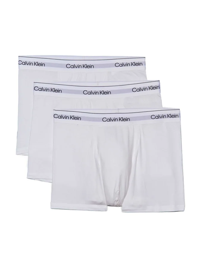 CALVIN KLEIN UNDERWEAR -...