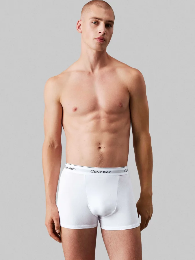 CALVIN KLEIN UNDERWEAR -... 2