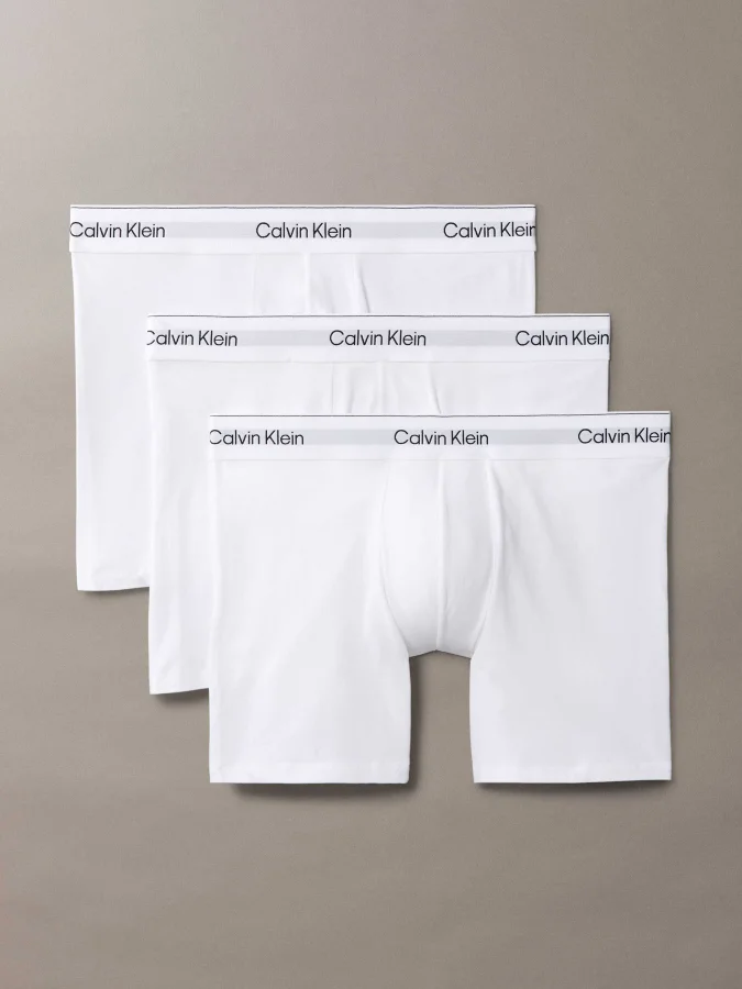 CALVIN KLEIN UNDERWEAR -...