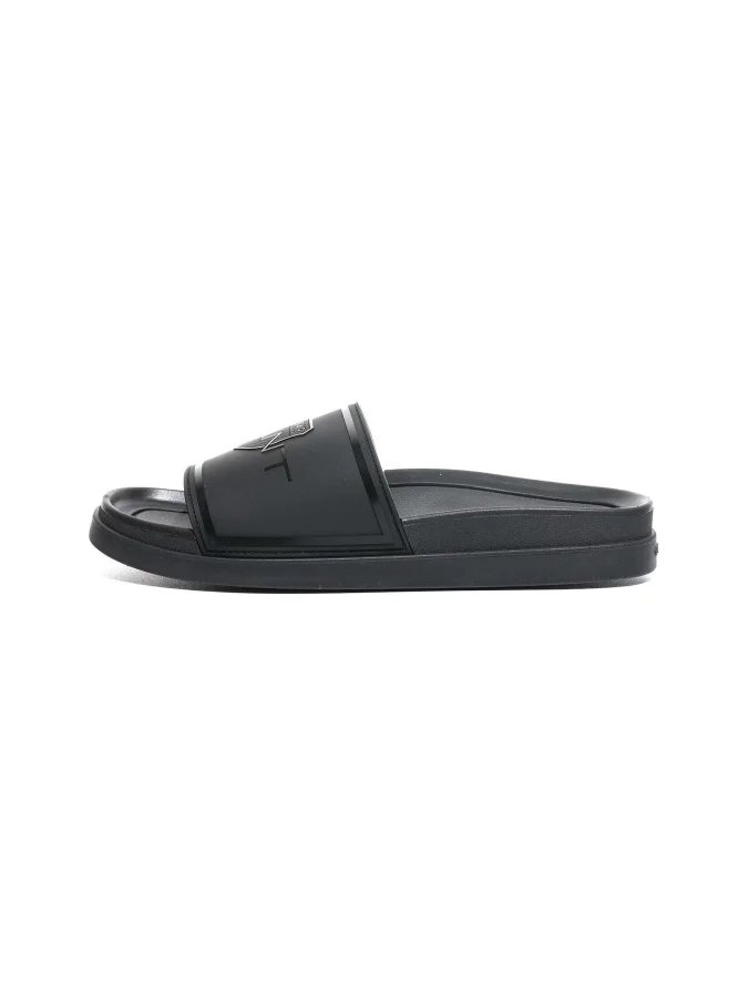 Gant 2