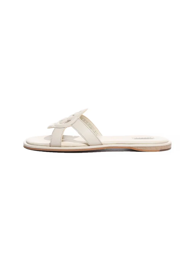 Gant 2