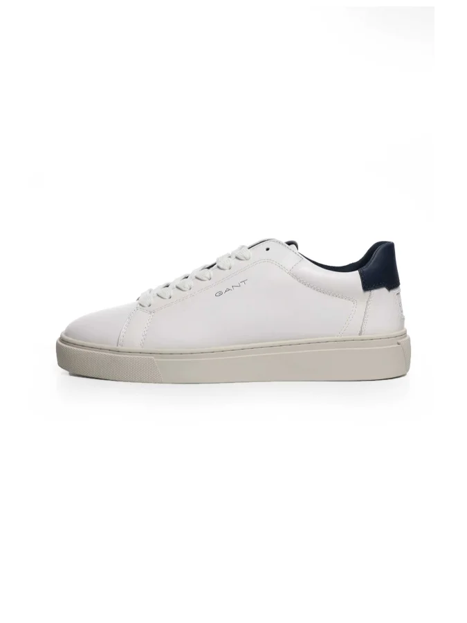 Gant 2