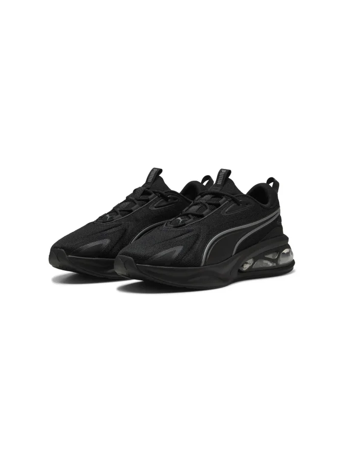 Puma - Cell Solar 2