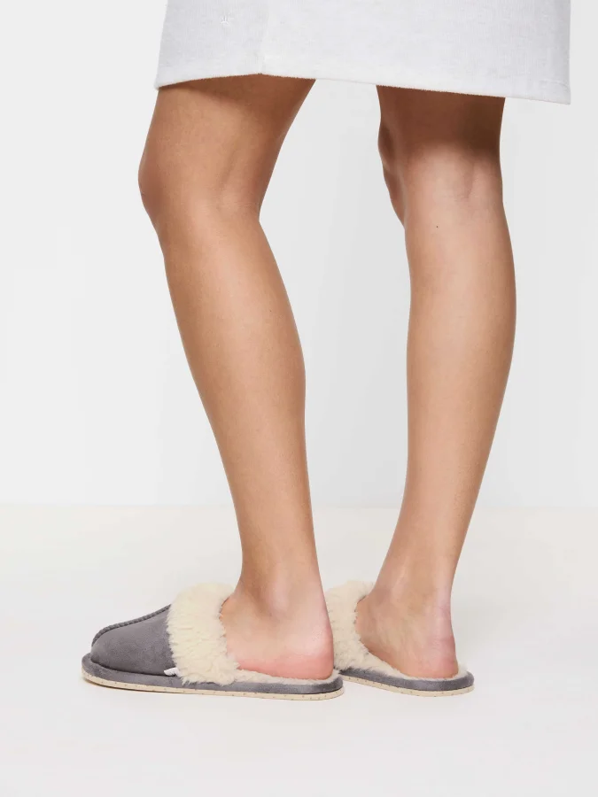 Triumph - Accessories... 2