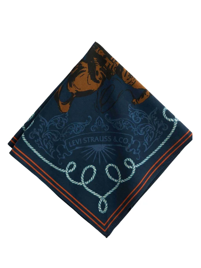 Levi's - Rodeo Champion... 2