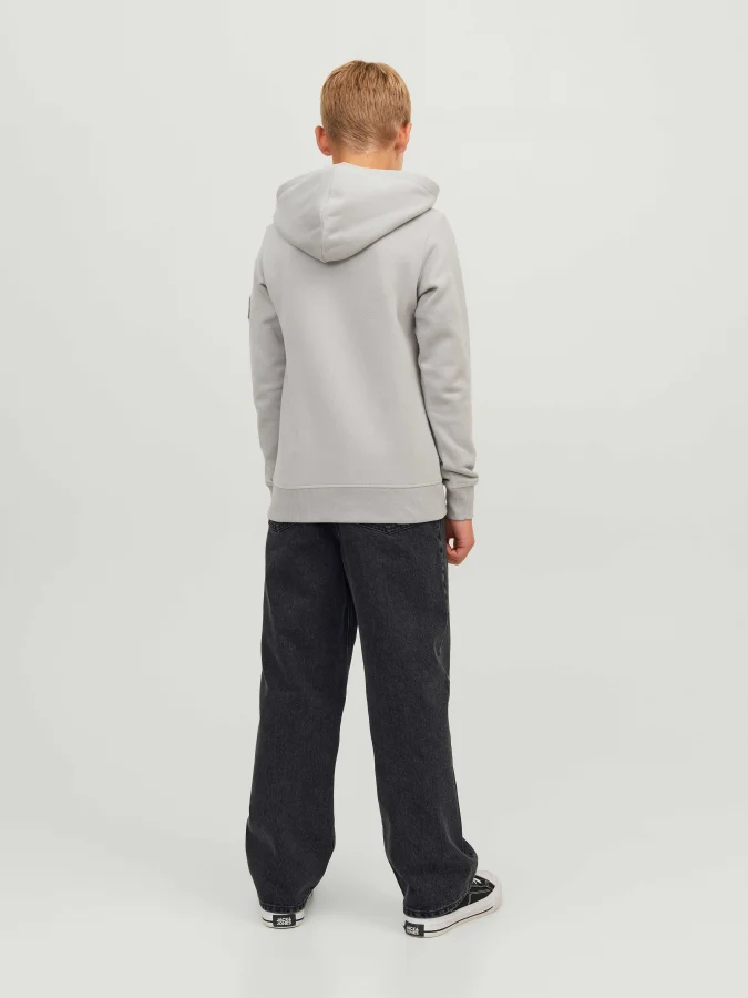 Jack&Jones - JJIALEX... 2